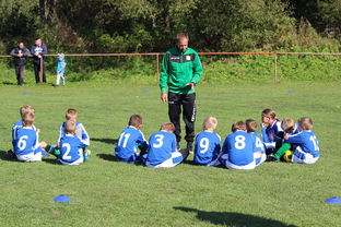 电竞赛场焦点!韩国队对阵澳大利亚队,战术博弈精彩纷呈,教练斗智斗勇